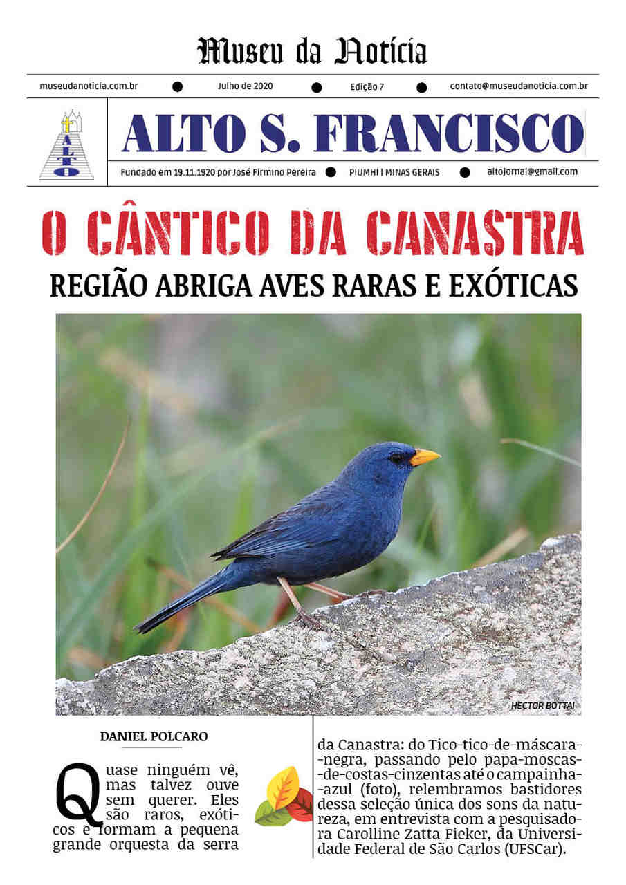 O cântico da Serra da Canastra: região abriga aves raras e exóticas